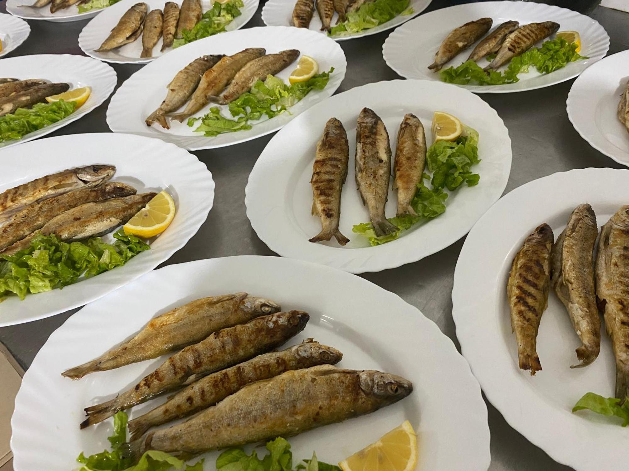 Rritja E Koranit 호텔 Tushemisht 외부 사진